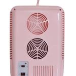 Frigidaire Mini Portable Heater